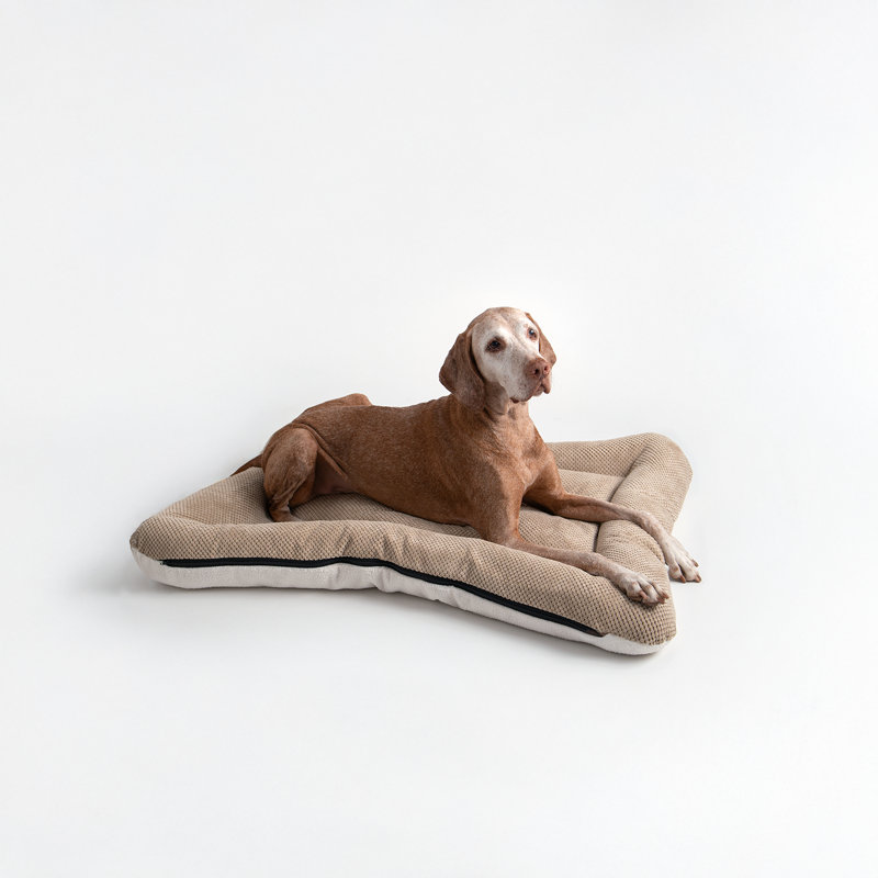 Lit pour chien et chat en microsuède réversible ivoire All Day with Cloud 9, H 5 po x l 40 po x P 30 po, Sable marmotte