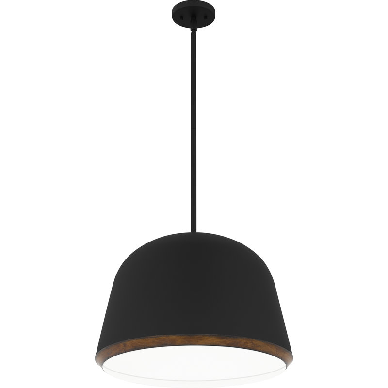 Aaila 4-Light Matte Black Pendant Light