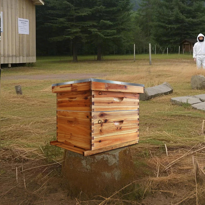 Ensemble complet de 10 ruches, ruches enduites de cire, 2 boîtes profondes et 1 boîte moyenne