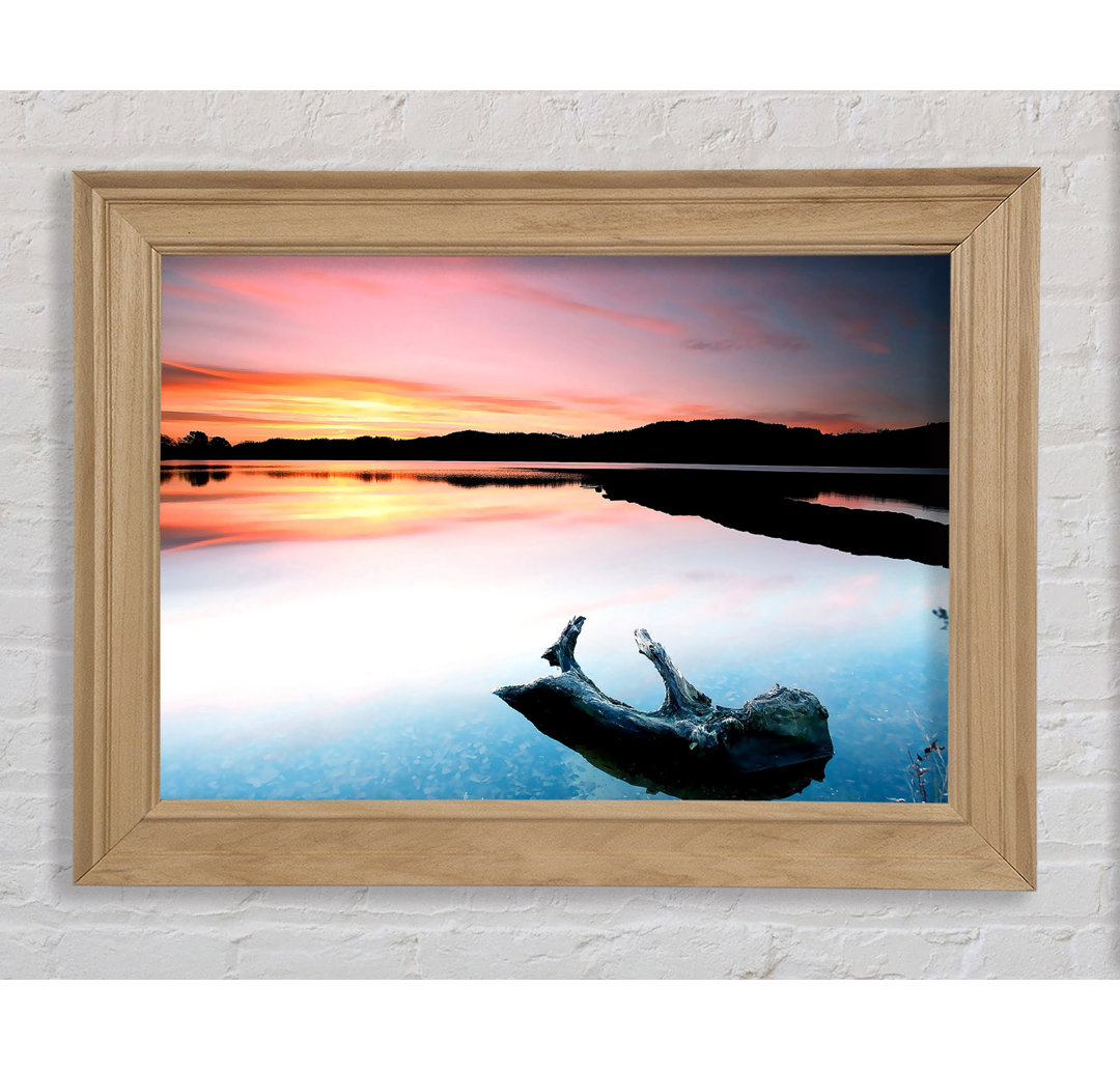 Gerahmtes Poster Driftwood In The Tranquil Ocean