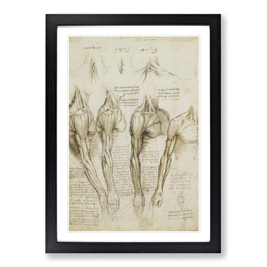 Anatomy 9 by Leonardo Da Vinci Framed Painting Print