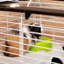 Rabbit Cage-86757693-86757691