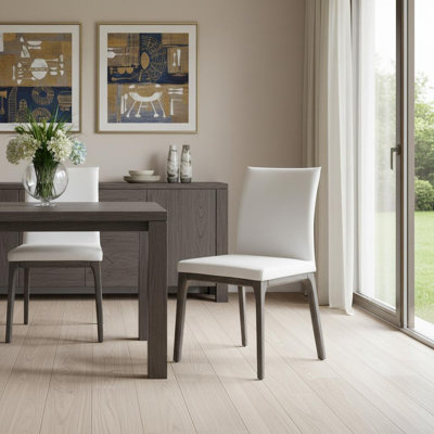  Ensemble de deux chaises d'appoint Everett