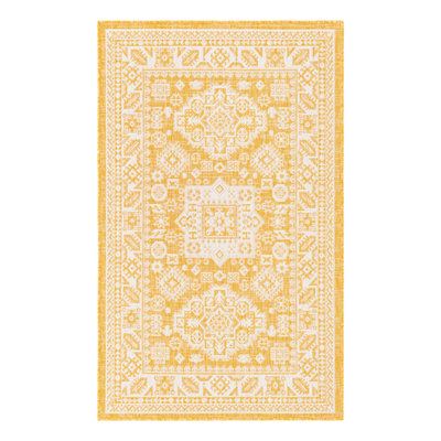 Anaruth Indoor / Outdoor Rug