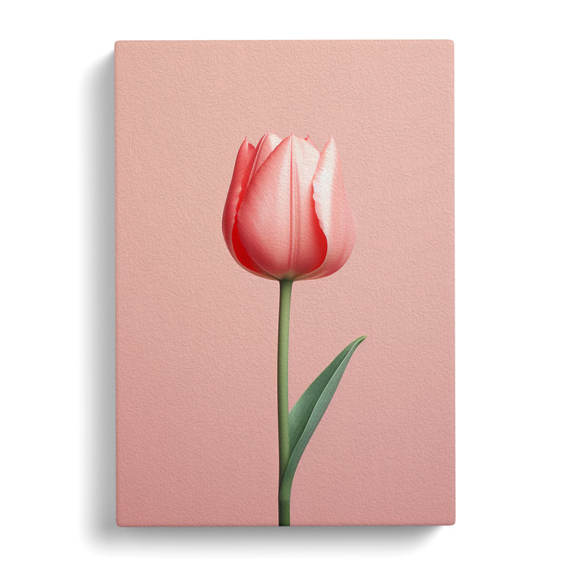 Tulip Flower Minimalism - Wrapped Canvas, 76cm H x 50cm W x 3cm D