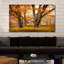 «Crossing Paths», reproduction de photo-31476438-31935637