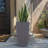 Hymie Pot Planter-1636968264