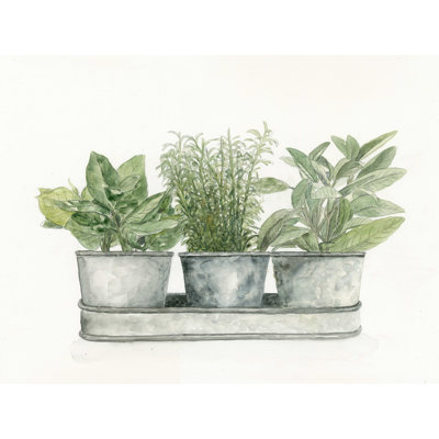 " The Plants 3 " Painting Print