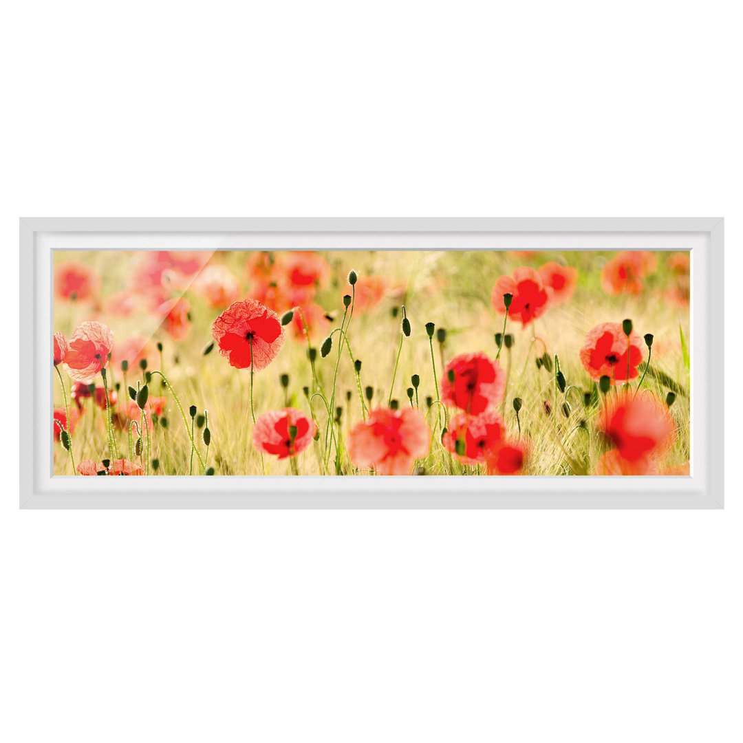 Gerahmtes Poster Summer Poppies