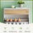 Shoe Storage Cabinet-258299615