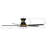 60'' Ceiling Fan with LED Lights