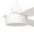 Temel 52'' Ceiling Fan