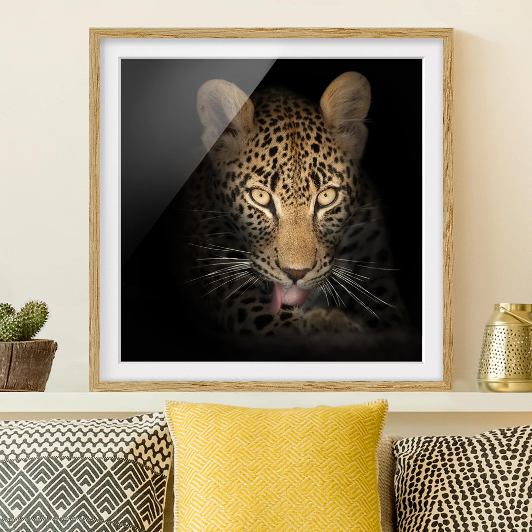 Gerahmtes Papierbild Ruhender Leopard