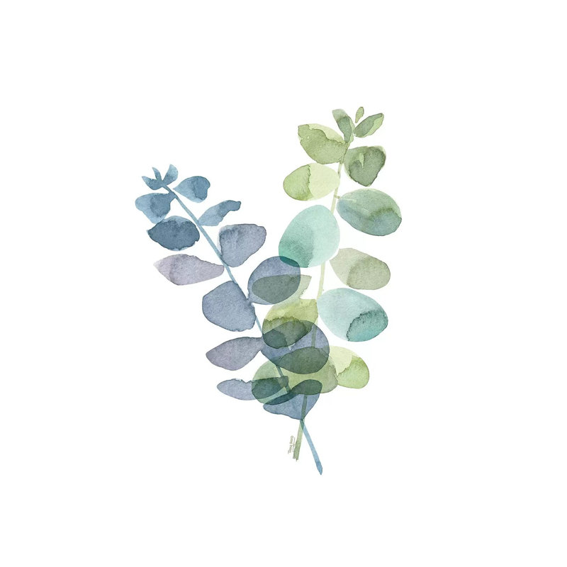 Natural Inspiration Blue Eucalyptus On White I by Tara Reed - Print on Canvas, 30.48 cm H x 30.48 cm W, Wrapped Canvas