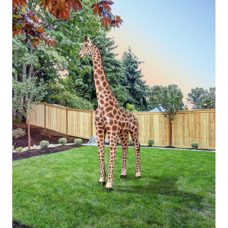 Girafe 12 pi