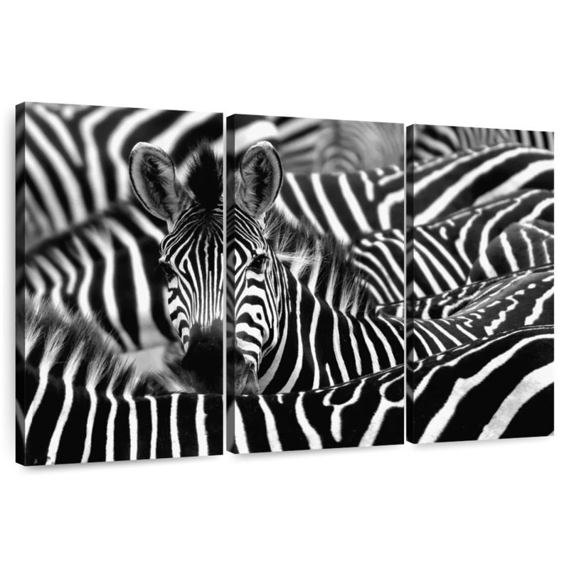Dazed Zebra, 20" H x 33" W