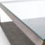 Shagreen Coffee Table-130057805