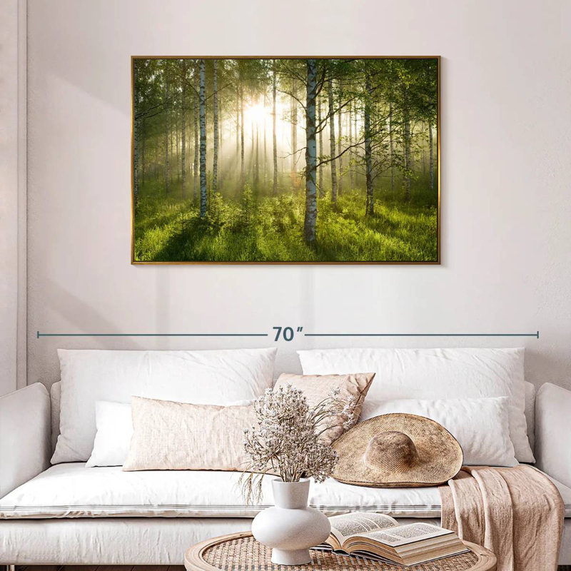 Birch Forest Sunlight, Cadre flottant doré, 43 po x 29 po