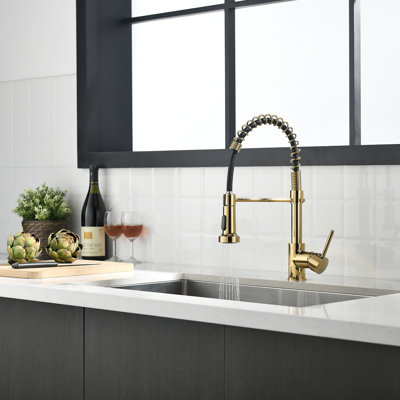 FLG Pull Down Kitchen Faucet