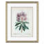 Magnolia & Rhododendrum Giclee Print by Paul Cezanne