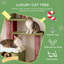 Tour de Noël pour chats d'intérieur