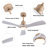 Jhamarion 42" Modern LED Ceiling Fan Chandelier with Remote-1331740347