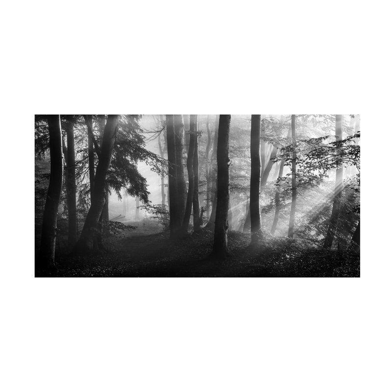 Nina Pauli, art de la première lumière sur toile, H 10 po x l 19 po