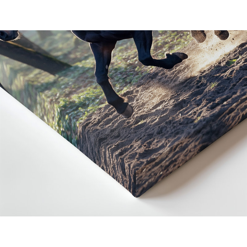 Toile, "Un cheval noir puissant galope énergétiquement à travers une forêt brumeuse", H 30 po x l 30 po