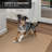 Skid-Resistant Carpet Indoor Area Rug Floor Mat - Pebble Beige - Many Other Sizes To Choose From-2104821525