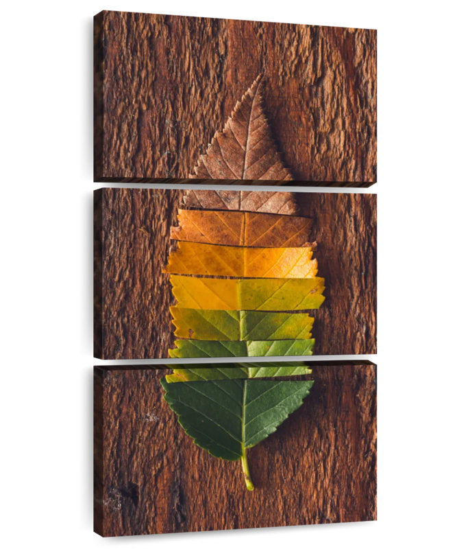 Couleurs de feuilles d'automne, H 62 po x l 30 po