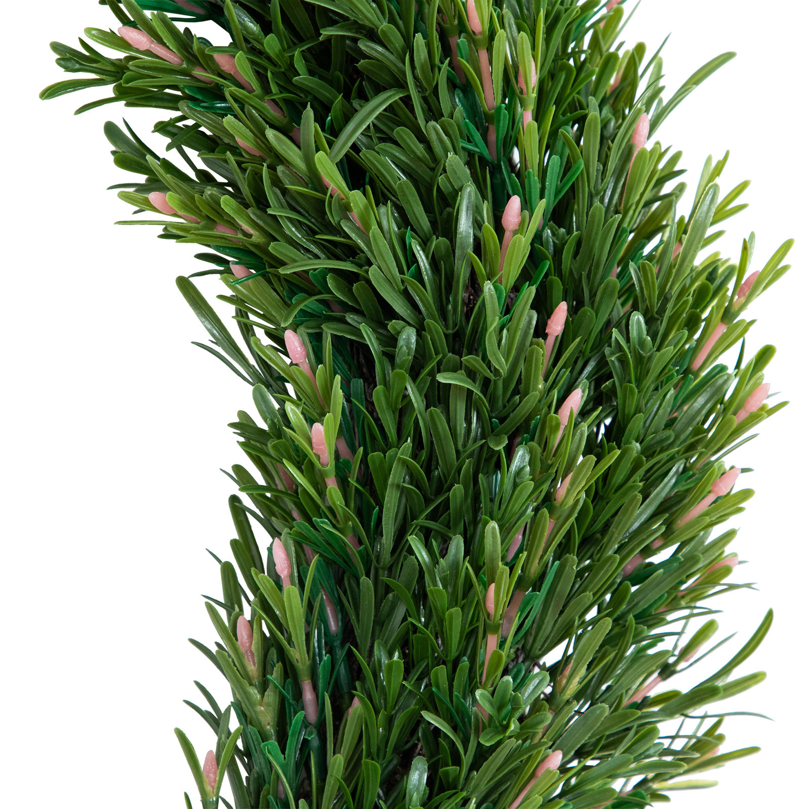 Birch Lane™ 24" Rosemary Wreath