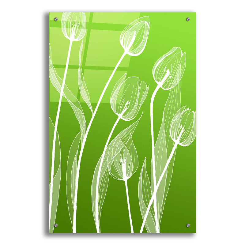 Zorien sur plastique / acrylique, H 36 po x l 24 po x P 0,2 po