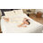All Season Down Alternative Comforter-745790271