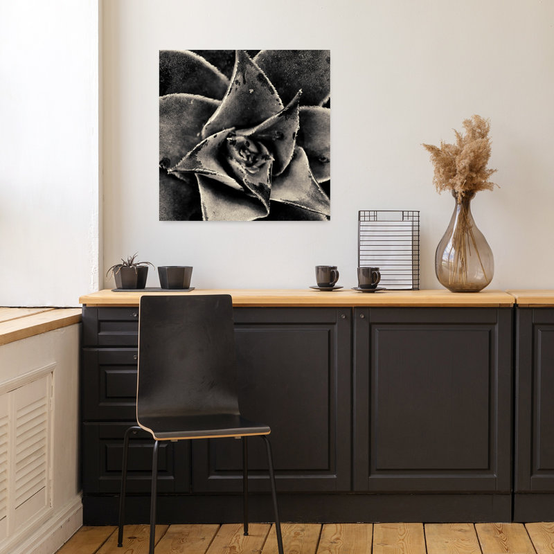 Seattle Succulents, art succulent contemporain, H 18 po x l 18 po