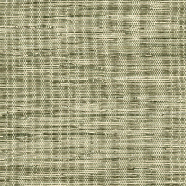 Rouleau de papier peint lisse texture IV, L 33 po x l 20,5 po, Ivoire/beige