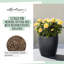 Classico Pot Planter-16493098-16493101