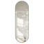 Miroir ovale pleine longueur 63 po x 20 po, cadre en alliage d'aluminium brossé antirouille, miroir mural pour entrée de salle de bain dans la chambre à coucher, reflet HD transparent