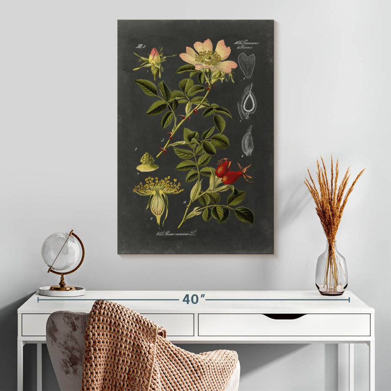 Keiri Midnight Botanical I, H 30 po x l 20 po