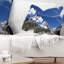 Coussin Schaferix