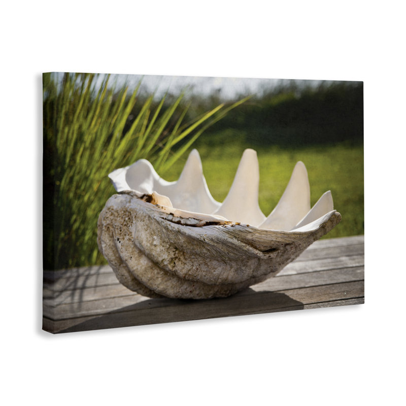 Toile de coquillage Sea Treasure, design par Seven Trees Design, H 20 po x l 30 po