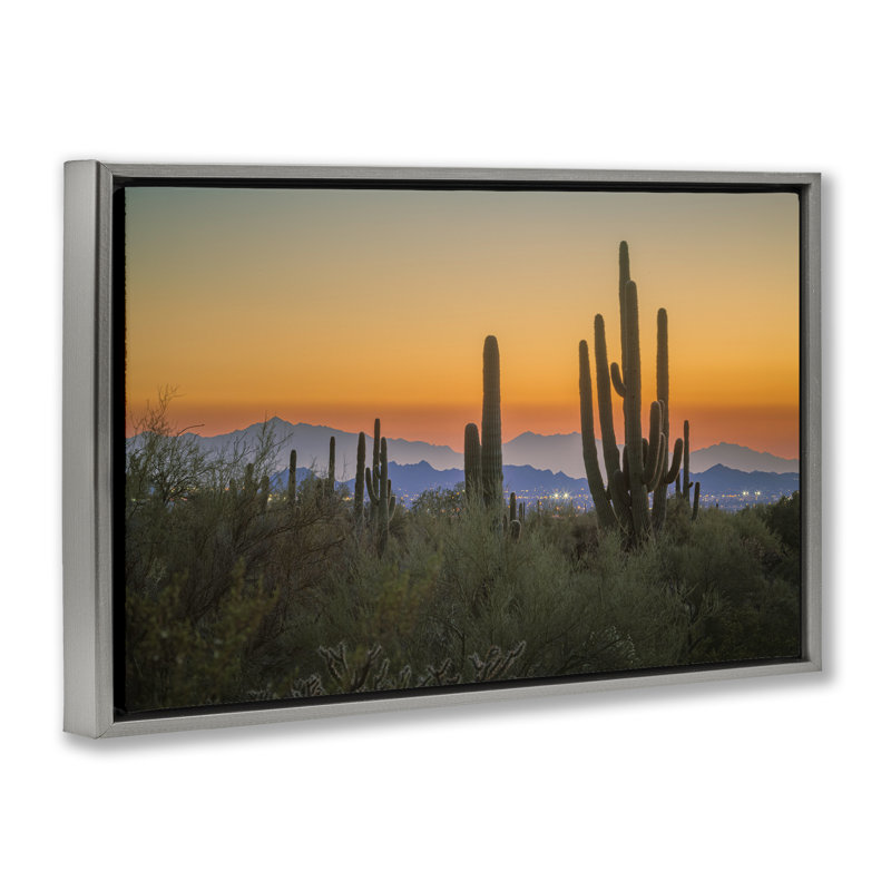 «Cacti Looming Sunset Floater» par Marty Hulsebos, Cadre flottant gris lustré, H 21 po x l 31 po