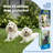 PetSafe® Stubborn Dog In-Ground Fence