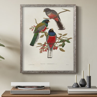 ElegantTrogonsIX Framed Print - Solid Wood