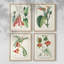 «Triple Block Print II», ensemble de 4 reproductions encadrées-947227637-947227639
