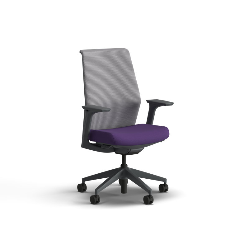 HON Cipher Mesh Ergonomic Office Chair, Charcoal Frame, Iris, Iris, Charcoal