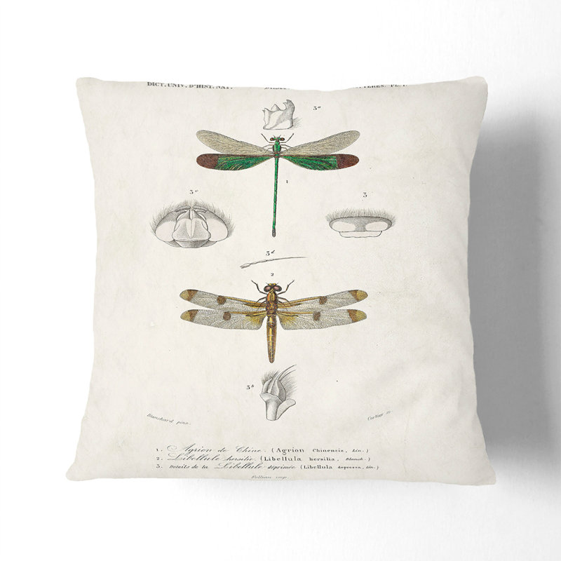 Dragonfly Illustrations PL. L Square Throw Cushion, 55cm H x 55cm W x 20cm D