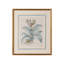 Besler Botanicals in Willow Blue III