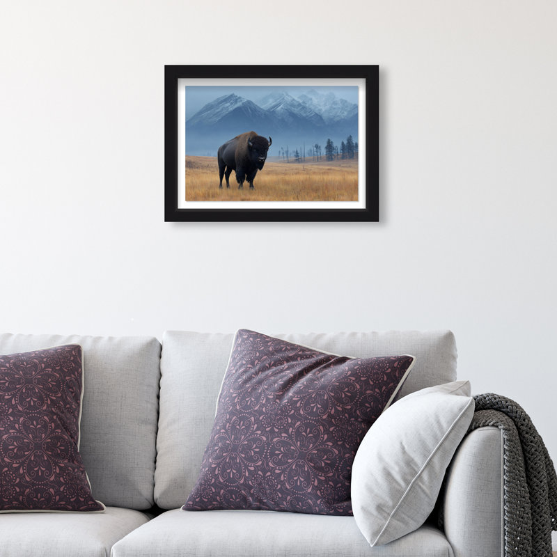 Mountain Bison I Print by Oliver Gal, 11.5" H x 16.5" W, Black Shadowbox