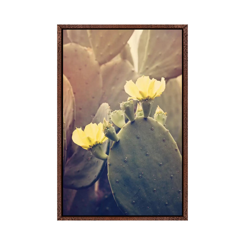 Desert Rose 1 Piece Wall Art on Canvas, 101.6cm H x 66.04cm W x 3.81cm D, Classic Brown Wood Framed