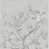 Grisaille